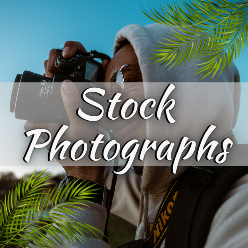 stock photographs shop jamaica place bringing jamaica home to you